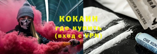 хмурый Арсеньев