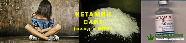 хмурый Арсеньев