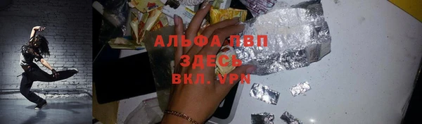 хмурый Арсеньев