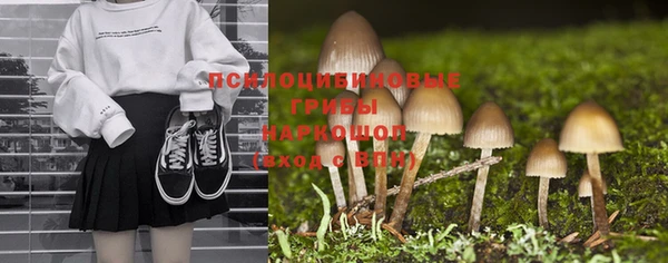шишки Армянск