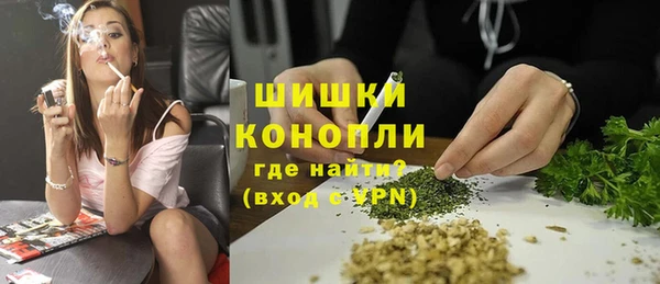 хмурый Арсеньев
