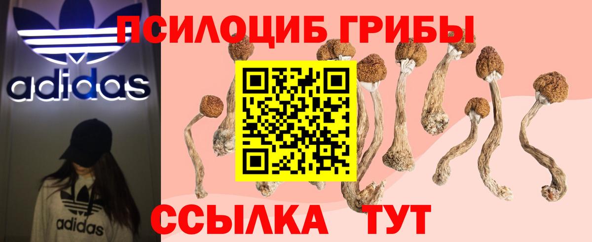 Галлюциногенные грибы мухоморы  Вход с VPN  Бахчисарай 